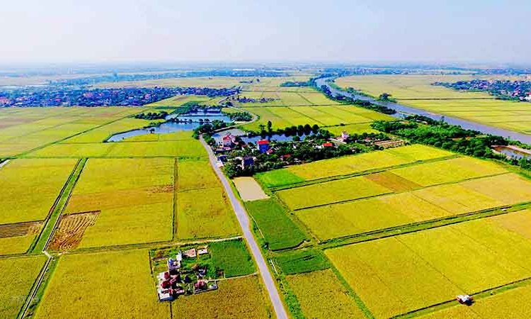 Lệ phí sang tên đất nông nghiệp tại Lâm Đồng là bao nhiêu