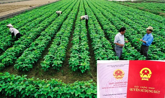 Phí sang tên sổ đỏ đất nông nghiệp tại Lâm Đồng phải nộp